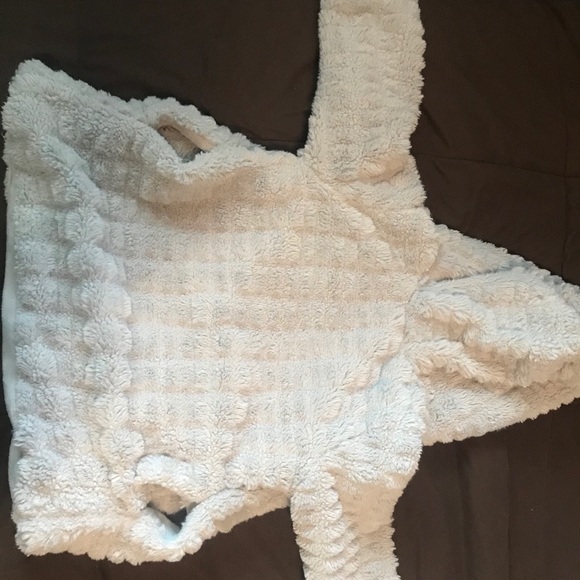 American Widgeon - Picture 4 of 6